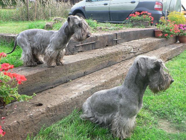 Dina+Bořík srpen 2008.JPG