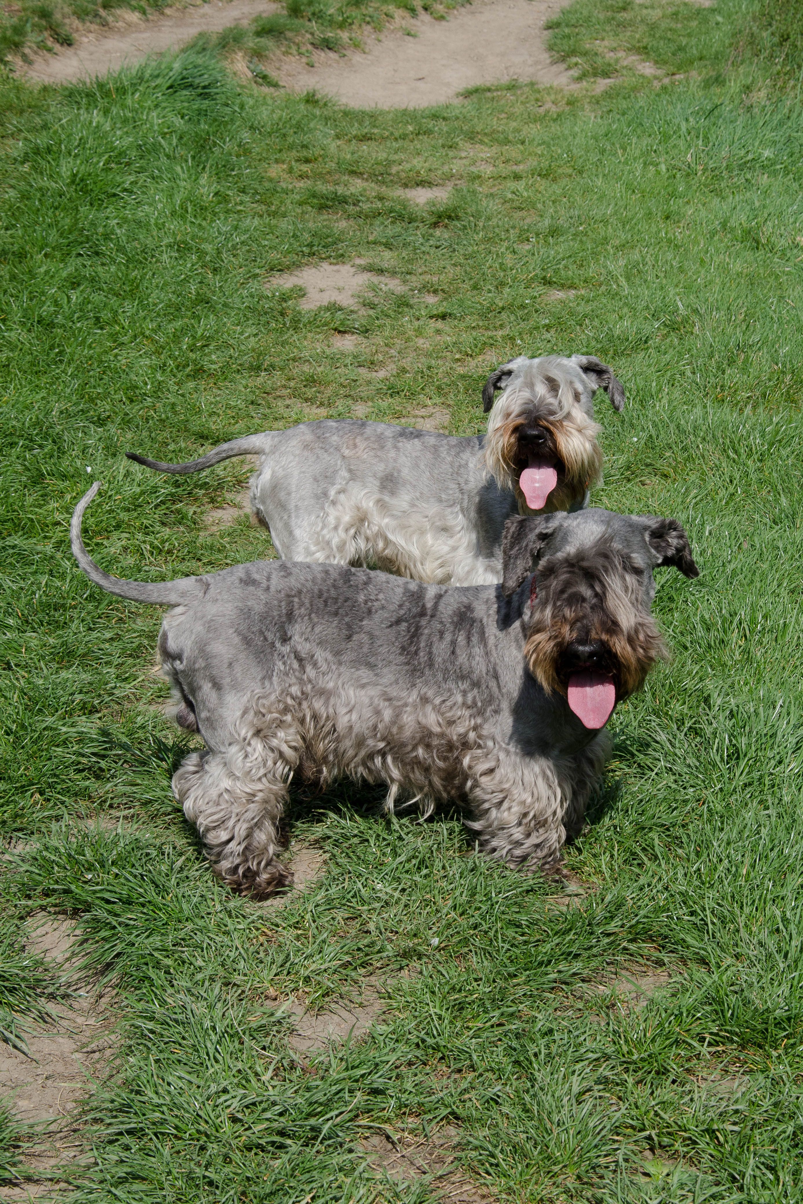 Bořík a Dina (2)