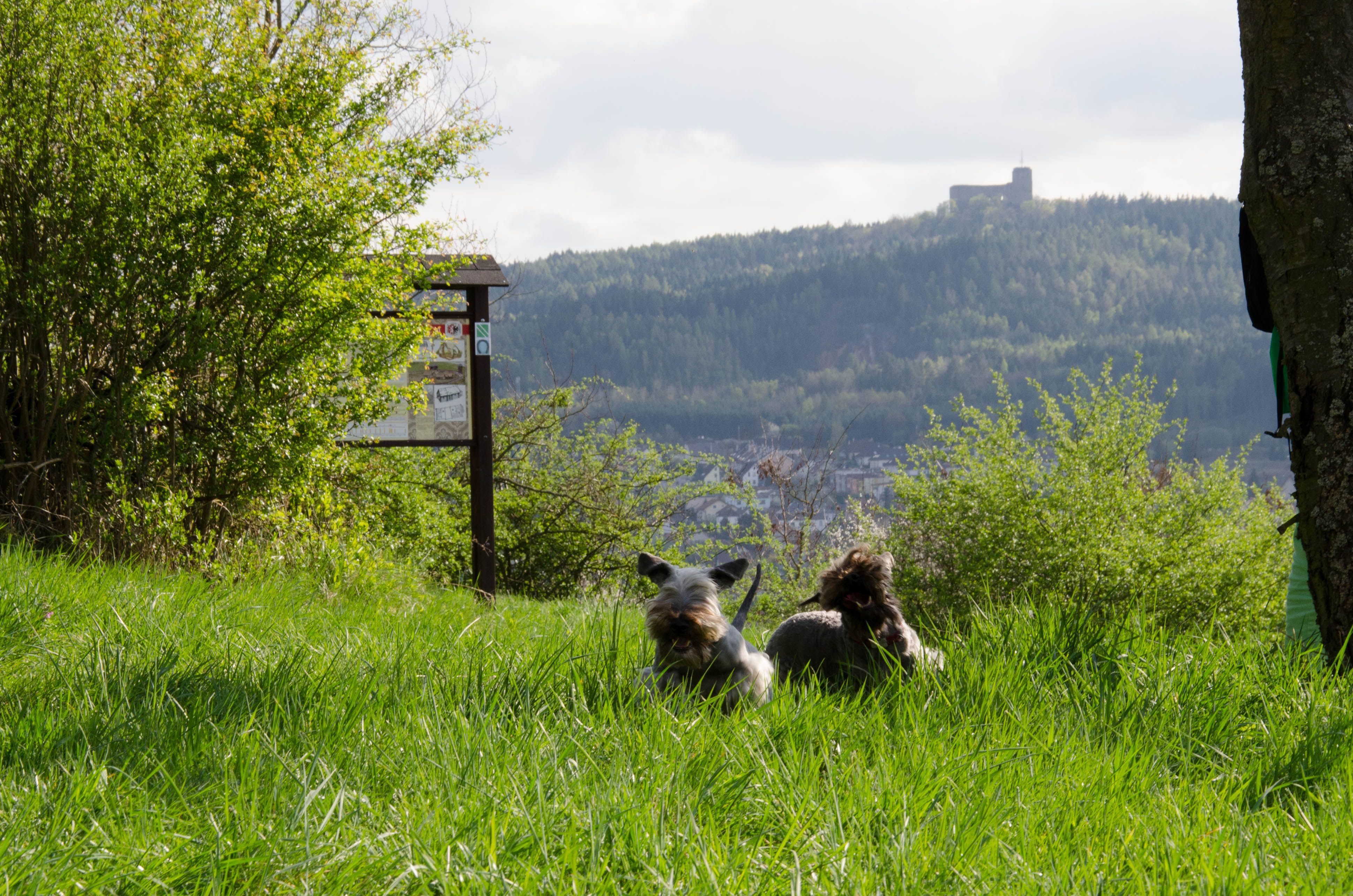 Bořík a Dina (7)